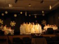/album/karacsonyi-musor-2013-/pc190040-masolata-jpg/